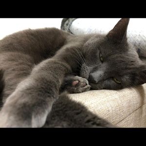 Meet your Posher, Taylor